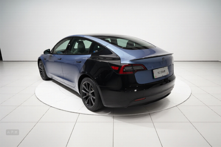 Tesla Model 3 2021 #5 Tesla Model 3 2021 car image #5