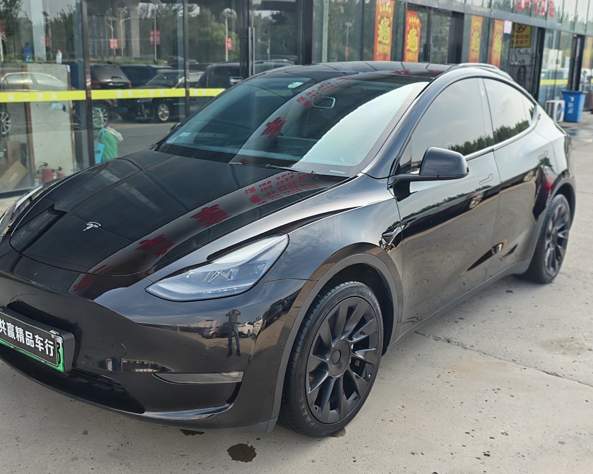 Tesla Model Y 2021 Tesla Model Y 2021 car image