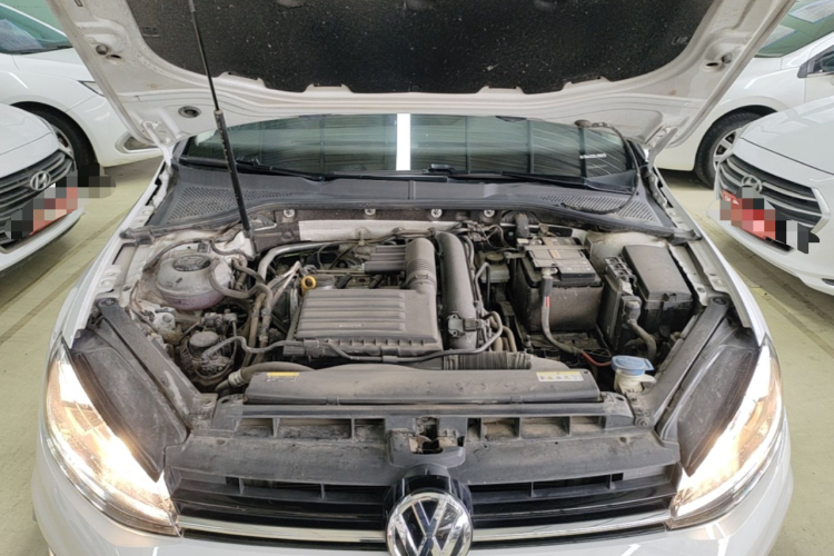 Volkswagen Golf 2020 car image #20