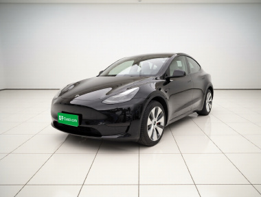 Tesla Model Y 2022 Tesla Model Y 2022 car image