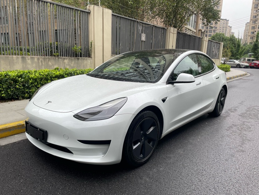 Tesla Model 3 2021 Tesla Model 3 2021 car image