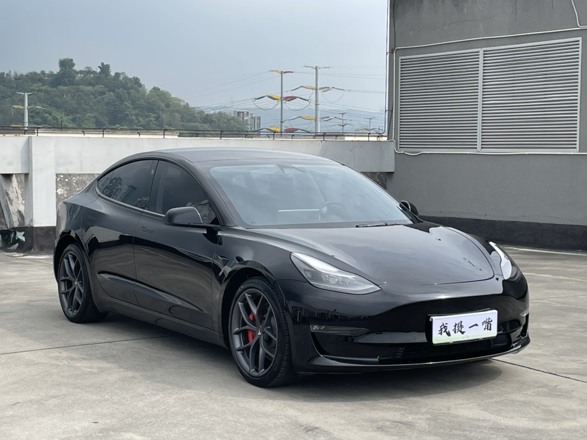 Tesla Model 3 2021 #3 Tesla Model 3 2021 car image #3