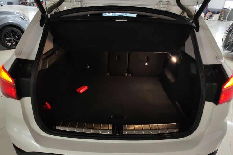 BMW X1 2019 car image #21