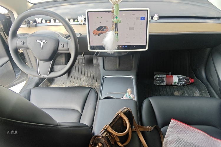 Tesla Model 3 2021 car image #11