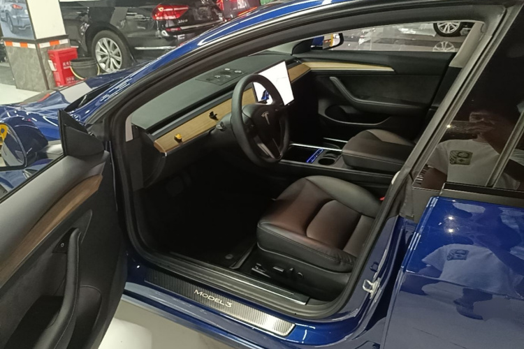 Tesla Model 3 2021 car image #16