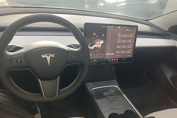 Tesla Model 3 2022 #10 Tesla Model 3 2022 car image #10