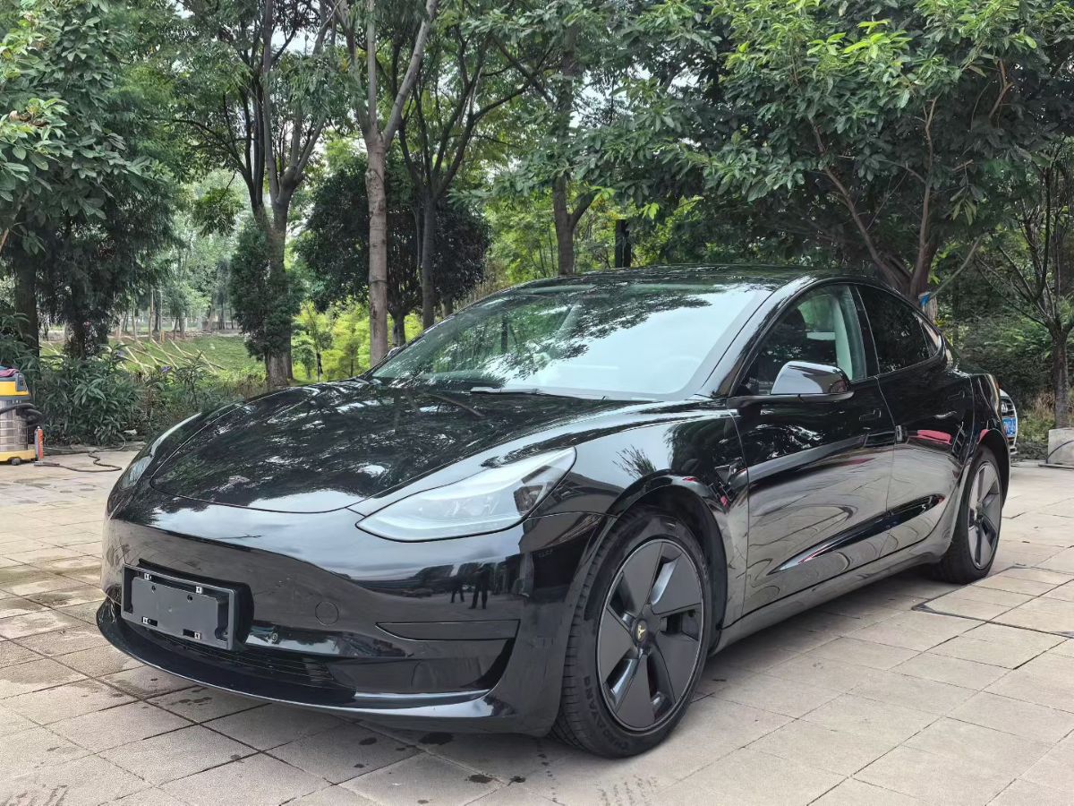 Tesla Model 3 2022 Tesla Model 3 2022 car image