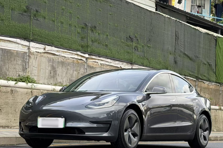 Tesla Model 3 2020 car image #2