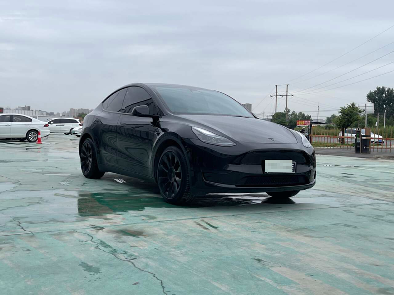 Tesla Model Y 2022 #8 Tesla Model Y 2022 car image #8