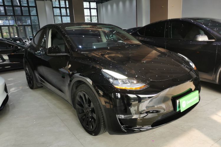 Tesla Model Y 2021 car image #4