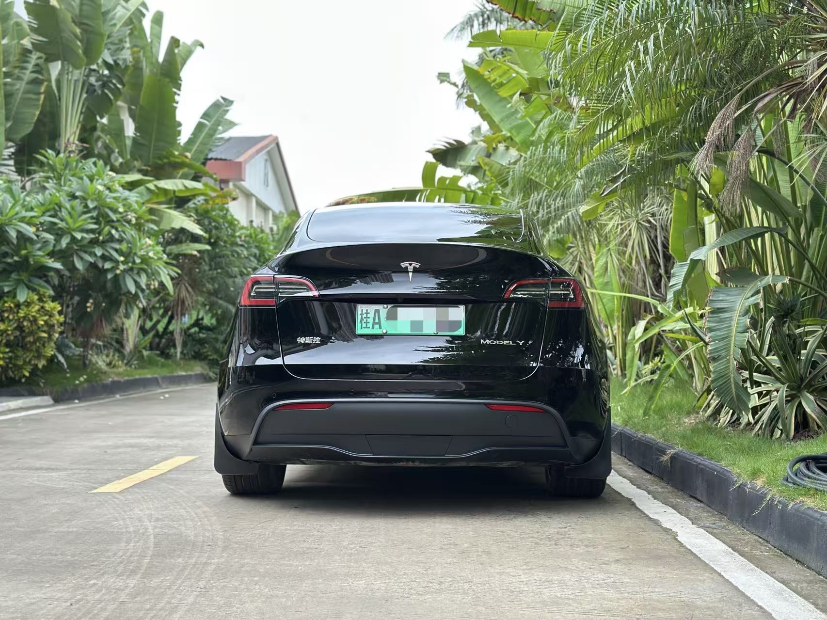 Tesla Model Y 2023 #4 Tesla Model Y 2023 car image #4