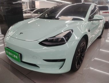 Tesla Model 3 2021 Tesla Model 3 2021 immagine di auto