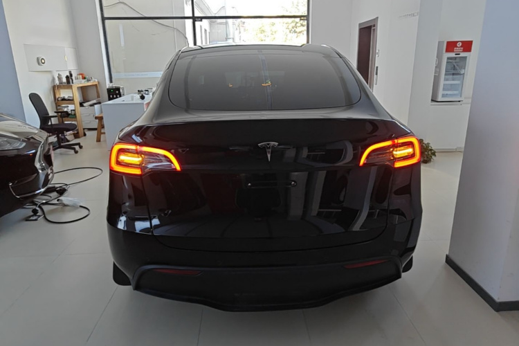 Tesla Model Y 2021 car image #6