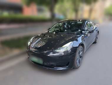 Tesla Model 3 2021 immagine di auto 