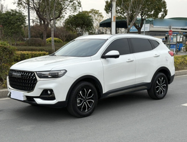 Haval H6 2023 汽车图片 