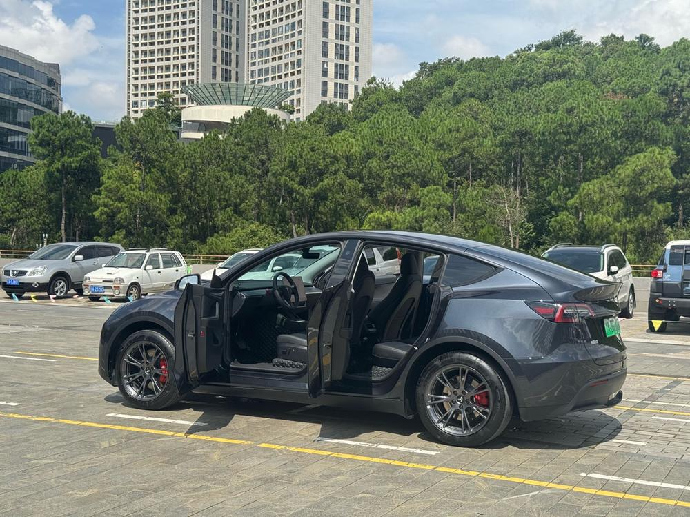 Tesla Model Y 2024 #15 Tesla Model Y 2024 car image #15