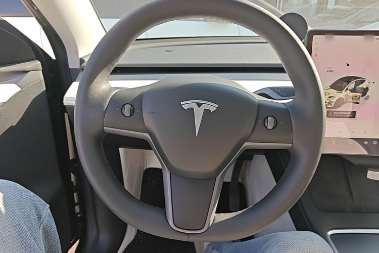 Tesla Model Y 2023 immagine di auto #11