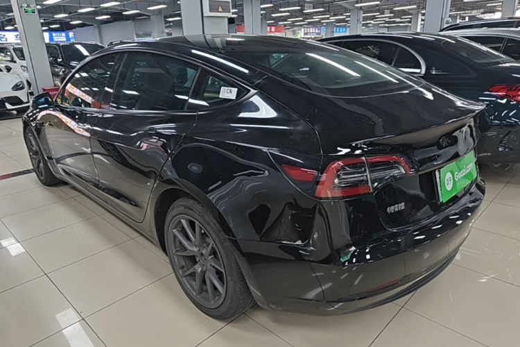 Tesla Model 3 2023 car image #7