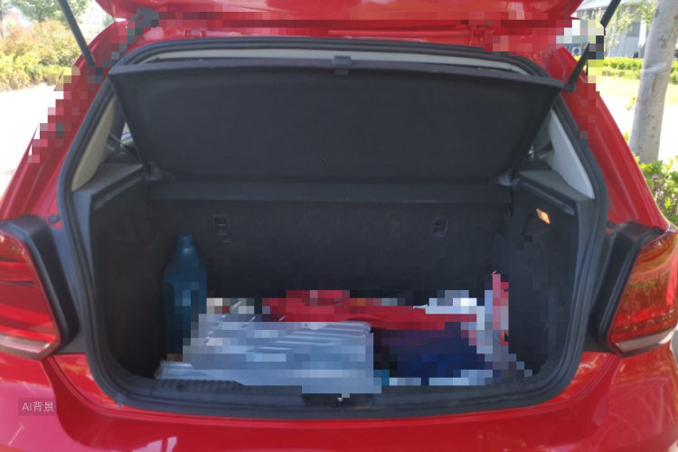 Volkswagen Polo 2017 #21 Volkswagen Polo 2017 car image #21
