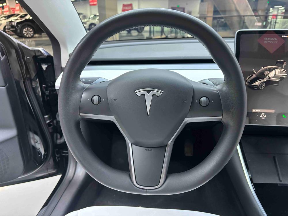 Tesla Model 3 2020 immagine di auto #28