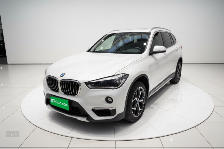 BMW X1 2019 imagen de coche #2