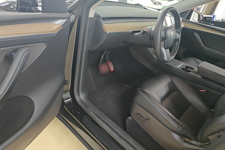 Tesla Model Y 2022 car image #16