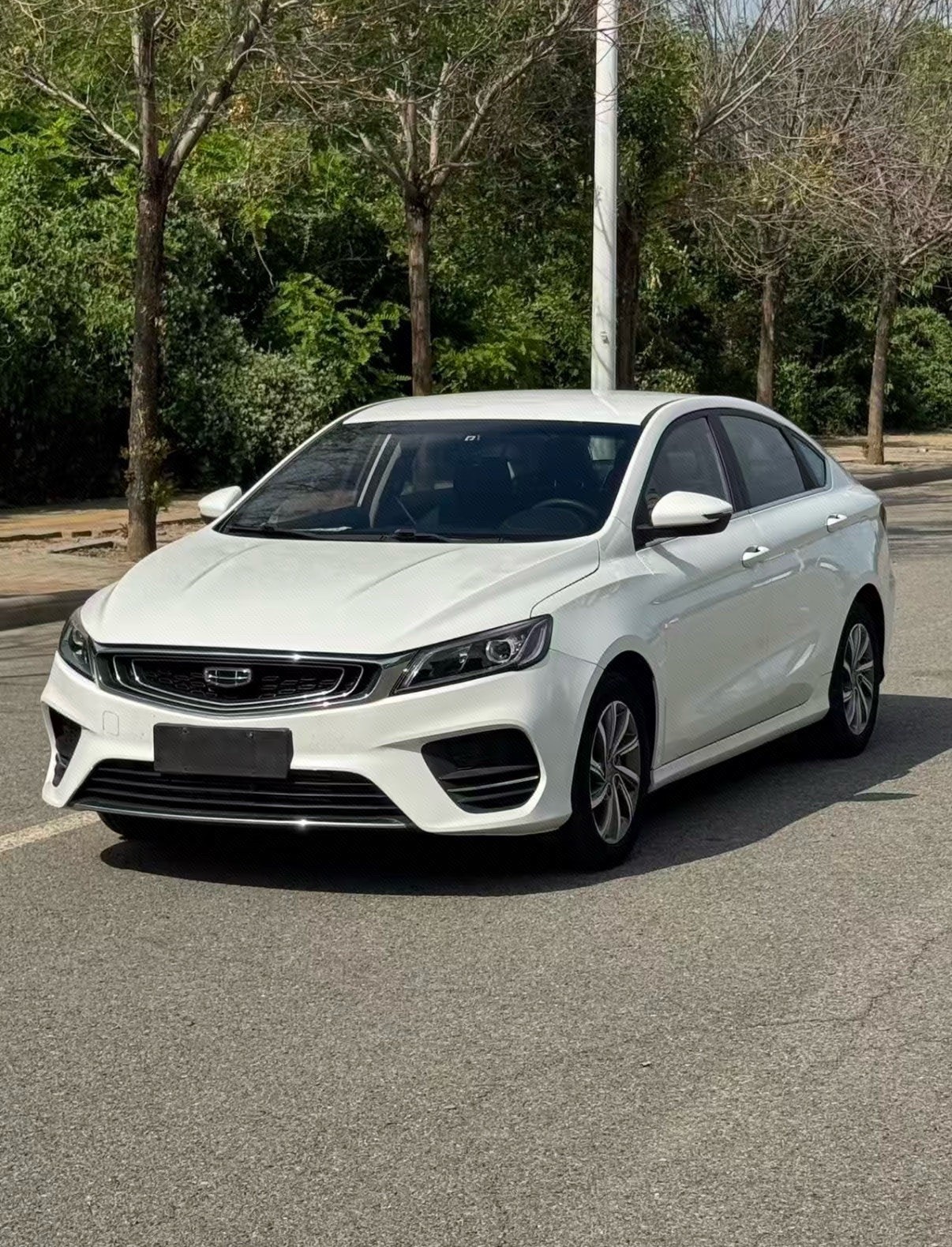 GEELY Binray 2019 изображение автомобиля 