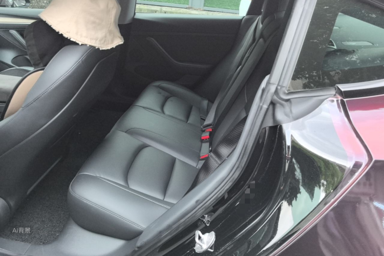 Tesla Model 3 2021 #19 Tesla Model 3 2021 car image #19