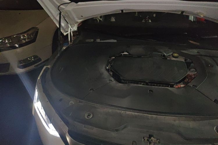 BYD Han 2021 immagine di auto #27