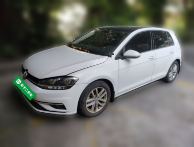 Volkswagen Golf 2019 car image 