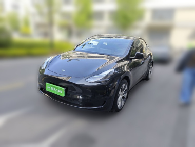 Tesla Model Y 2022 Tesla Model Y 2022 car image