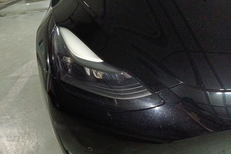 Tesla Model Y 2021 #8 Tesla Model Y 2021 car image #8