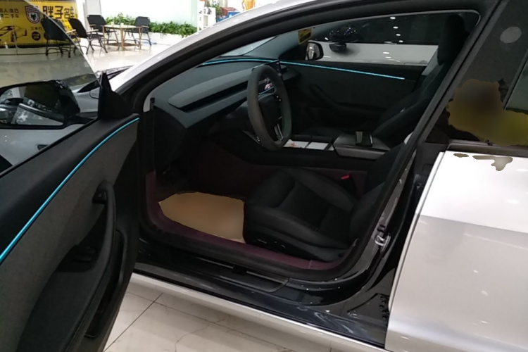 Tesla Model 3 2025 car image #12