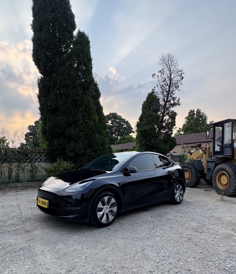 Tesla Model Y 2021 car image 