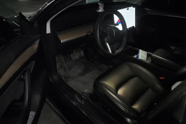 Tesla Model 3 2021 car image #13