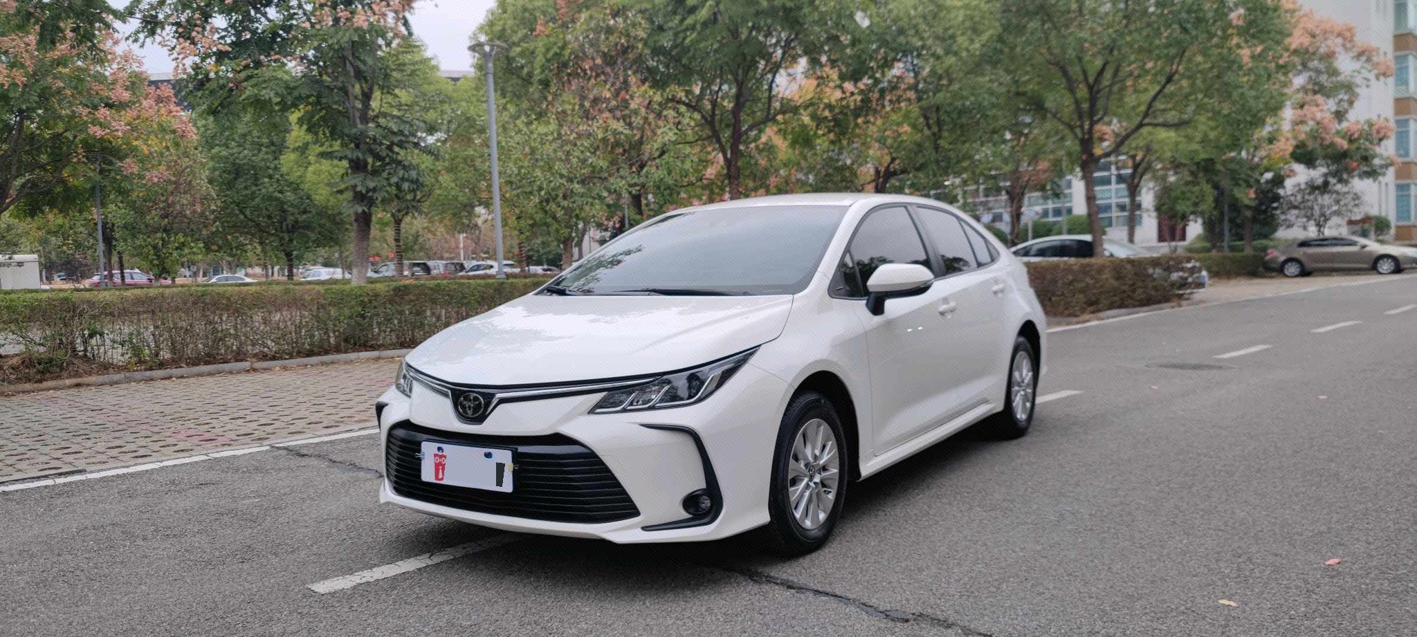 Toyota Corolla 2021 car image 