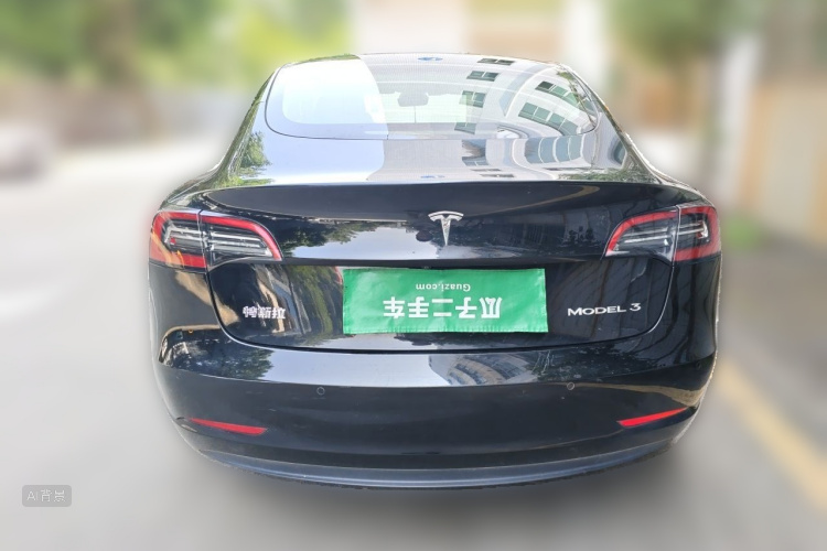 Tesla Model 3 2021 car image #6