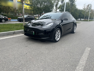 Tesla Model Y 2023 Tesla Model Y 2023 car image