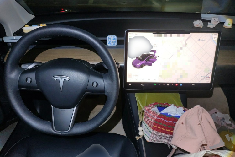 Tesla Model 3 2021 #7 Tesla Model 3 2021 car image #7