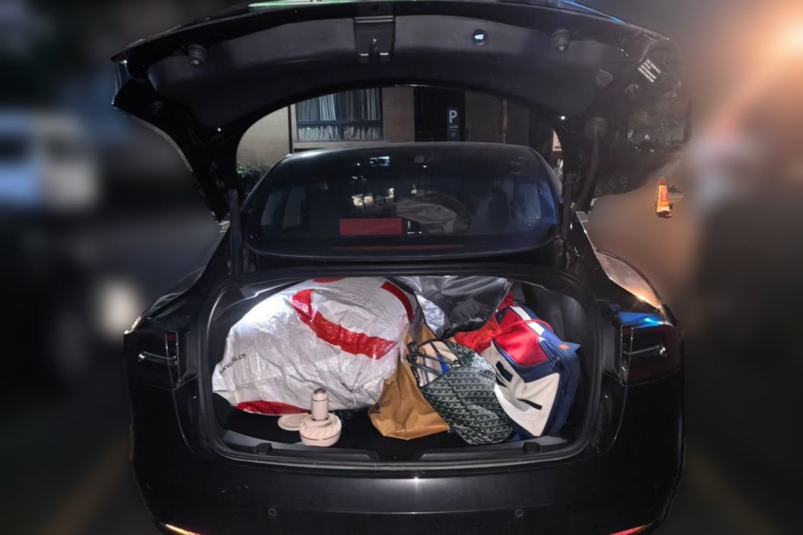 Tesla Model 3 2020 #8 Tesla Model 3 2020 car image #8