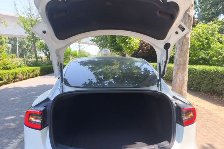 Tesla Model 3 2020 #19 Tesla Model 3 2020 car image #19