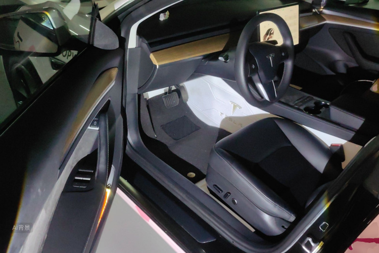 Tesla Model 3 2022 car image #18