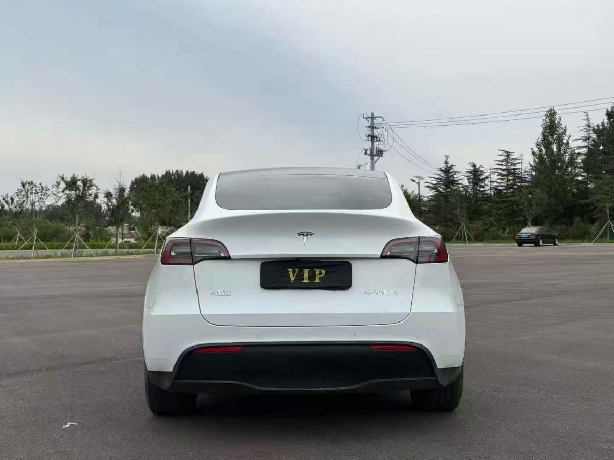 Tesla Model Y 2021 car image #8