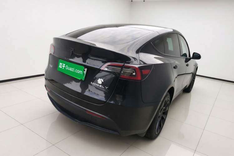 Tesla Model Y 2021 car image #7
