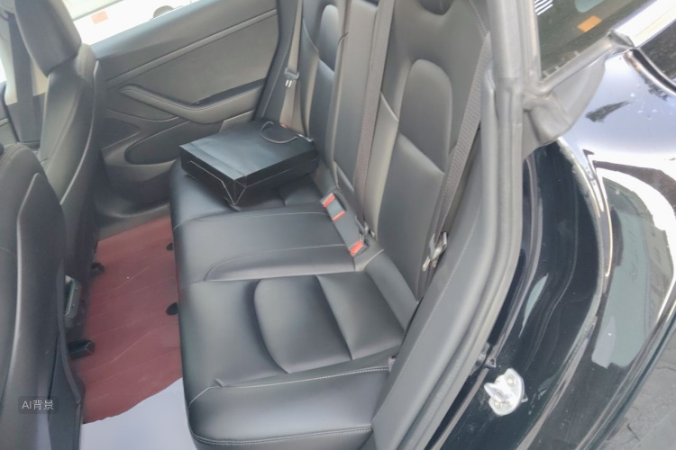 Tesla Model 3 2020 #19 Tesla Model 3 2020 car image #19