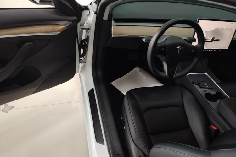 Tesla Model 3 2023 car image #16