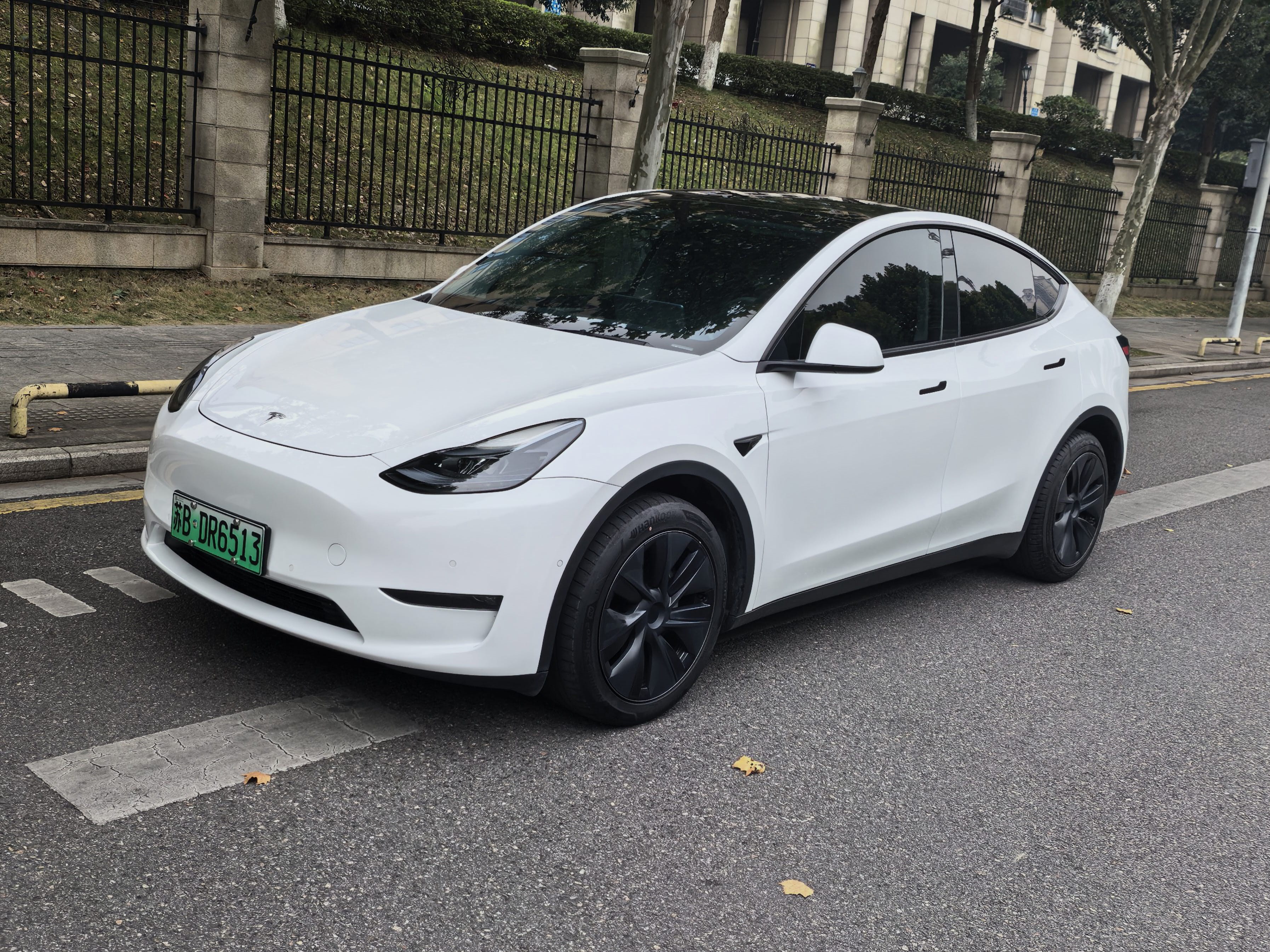 Tesla Model Y 2024 immagine di auto 