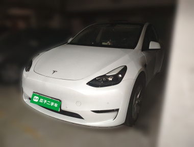 Tesla Model Y 2021 Tesla Model Y 2021 car image
