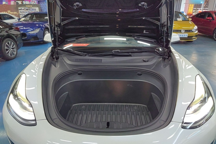 Tesla Model 3 2021 #20 Tesla Model 3 2021 imagen de coche #20