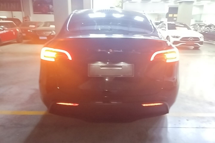 Tesla Model Y 2021 #6 Tesla Model Y 2021 car image #6
